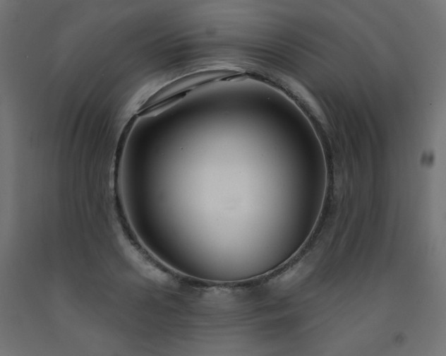 X0000093250938200710031601