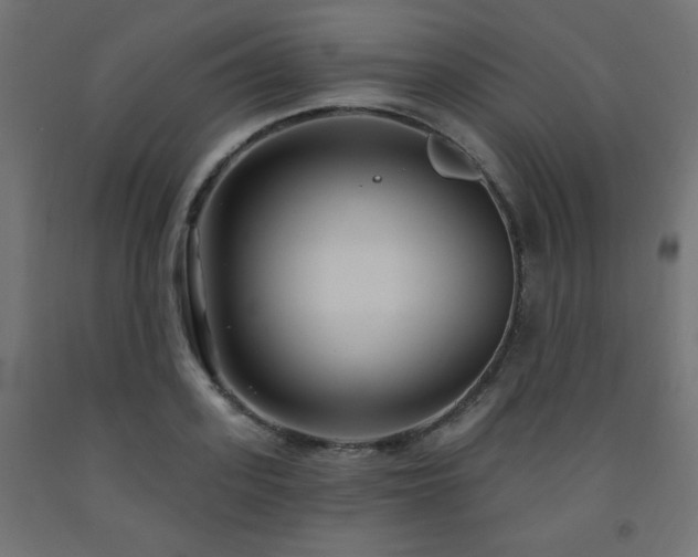 X0000093250939200710031601