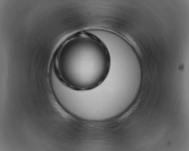 X0000093250940200710031601