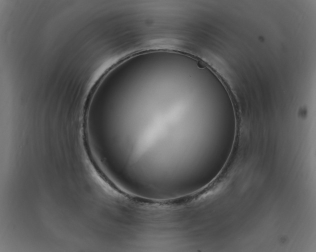 X0000093250941200710031601