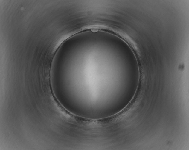 X0000093250945200710031601