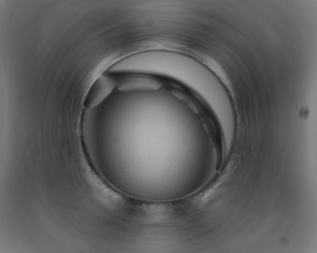 X0000093250946200710031601