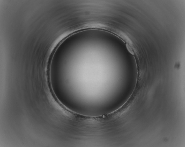 X0000093250947200710031601