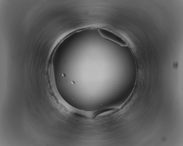 X0000093250948200710031601