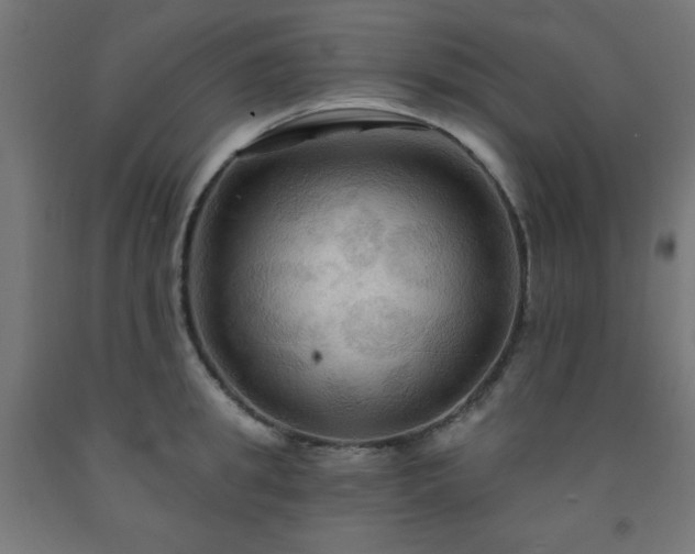 X0000093250949200710031601