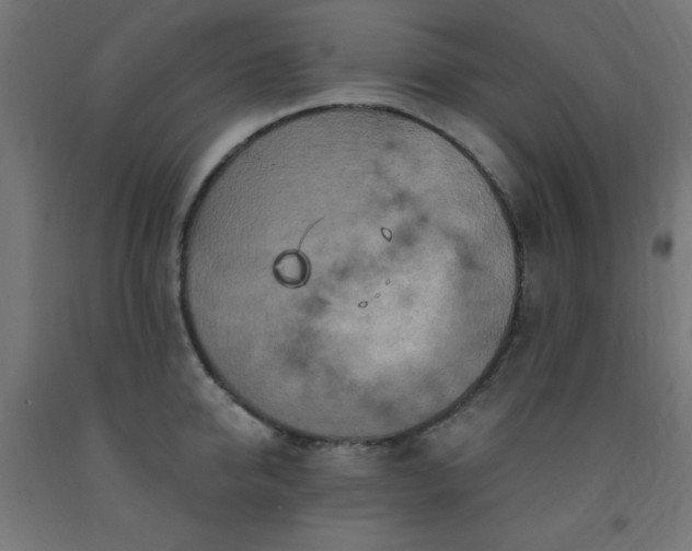 X0000093250950200710031601