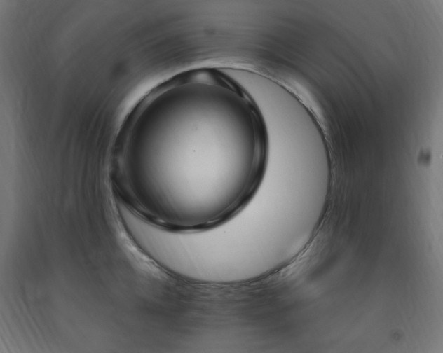 X0000093250952200710031601