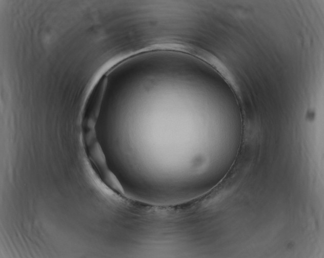 X0000093250955200710031601