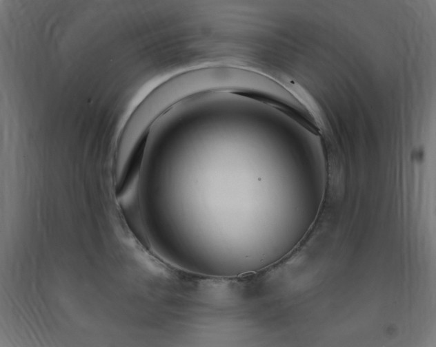 X0000093250956200710031601