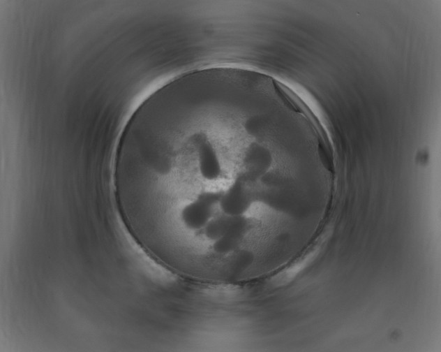 X0000093250957200710031601