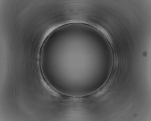 X0000093250958200710031601