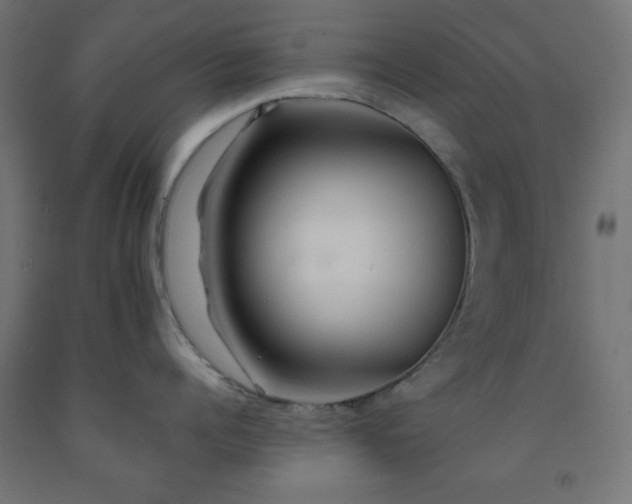 X0000093250960200710031601