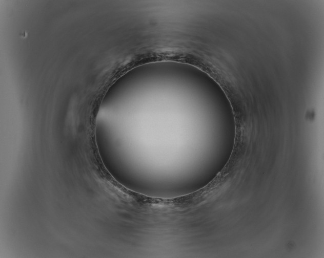 X0000093250961200710031600