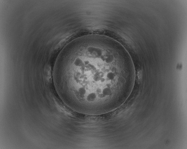 X0000093250963200710031600