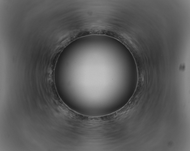 X0000093250964200710031600