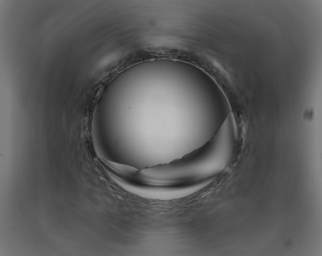 X0000093250965200710031600