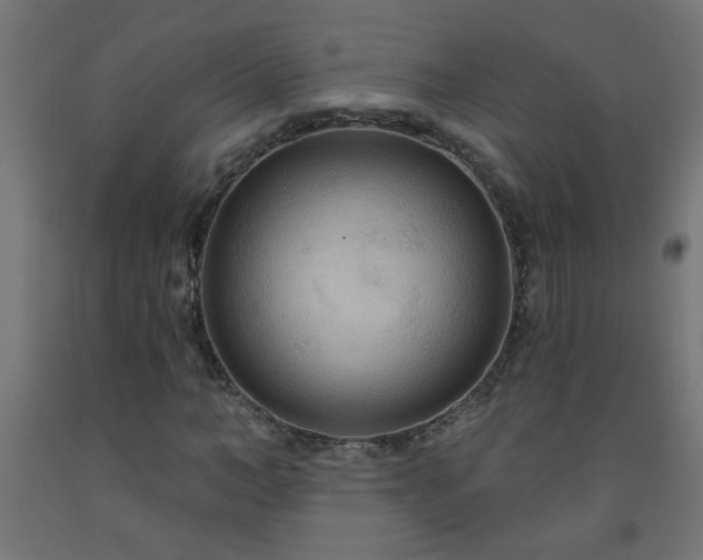 X0000093250966200710031600