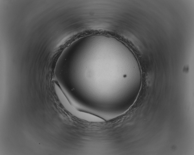 X0000093250968200710031600