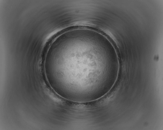 X0000093250971200710031600