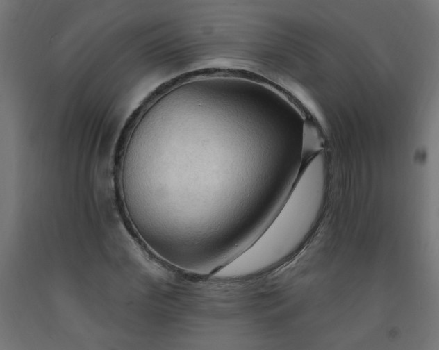 X0000093250972200710031600