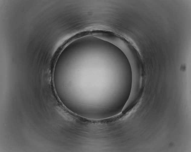 X0000093250973200710031600