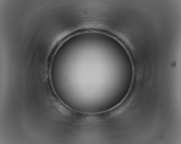 X0000093250974200710031600