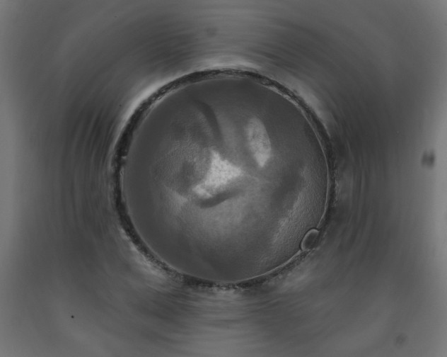 X0000093250975200710031600