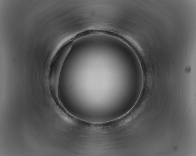 X0000093250976200710031600