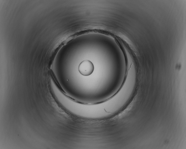 X0000093250977200710031600