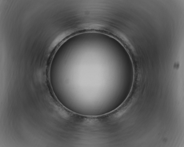 X0000093250978200710031600