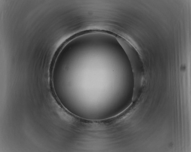 X0000093250980200710031600