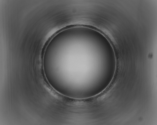 X0000093250982200710031600