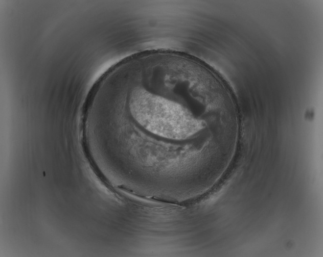 X0000093250983200710031600