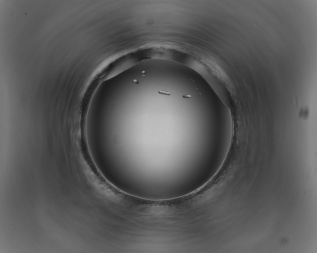 X0000093250984200710031600