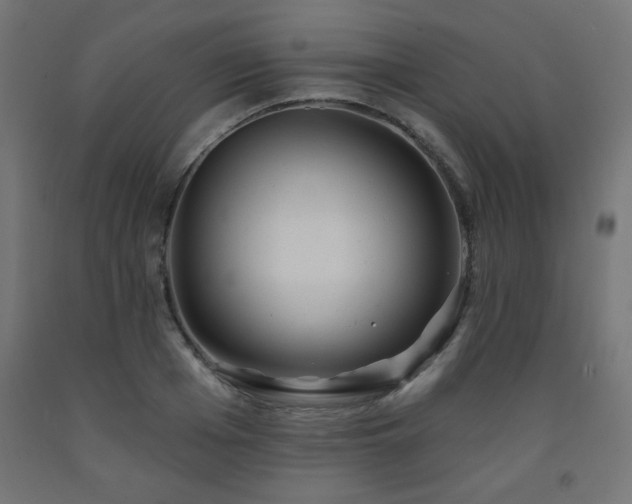 X0000093250985200710031600