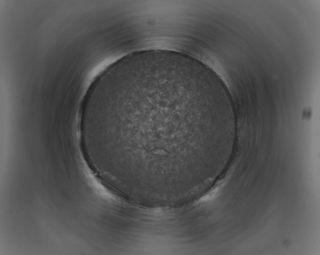 X0000093250987200710031600