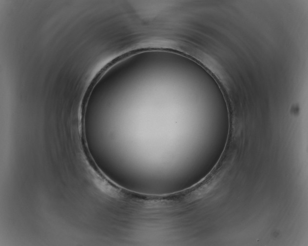 X0000093250988200710031600