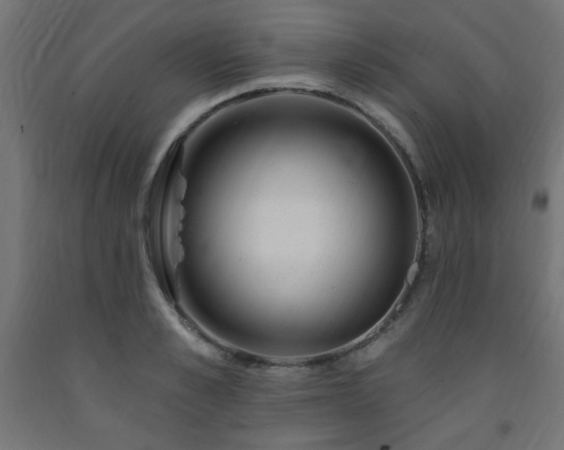 X0000093250989200710031600