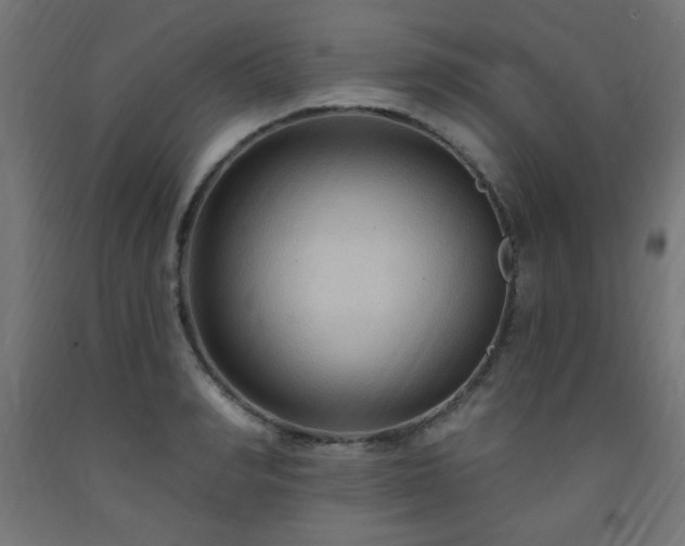 X0000093250990200710031600