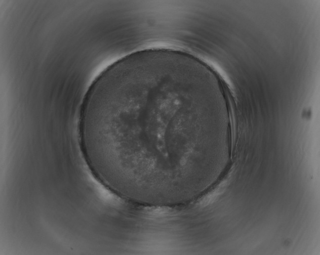 X0000093250991200710031600