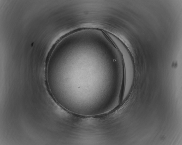 X0000093250992200710031600