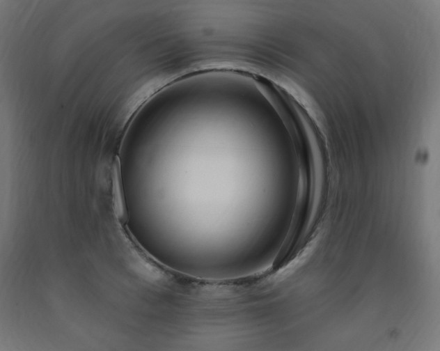 X0000093250993200710031600