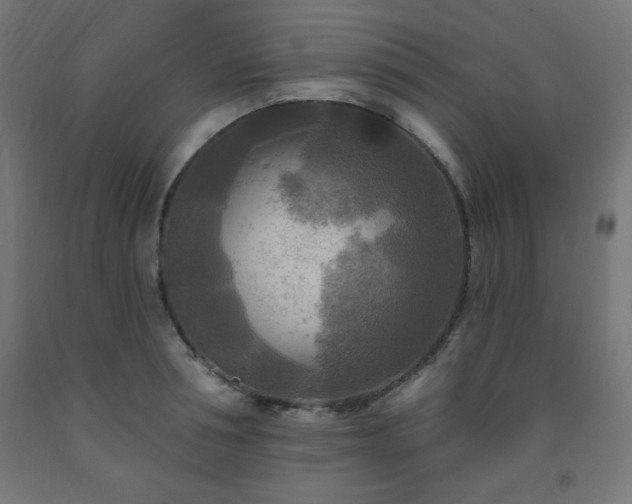 X0000093250994200710031600