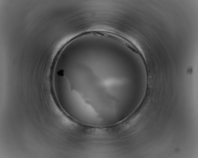 X0000093250995200710031600