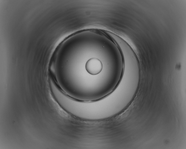 X0000093250996200710031600