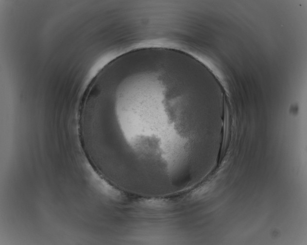 X0000093250998200710031600