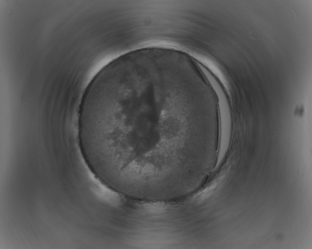 X0000093250999200710031600