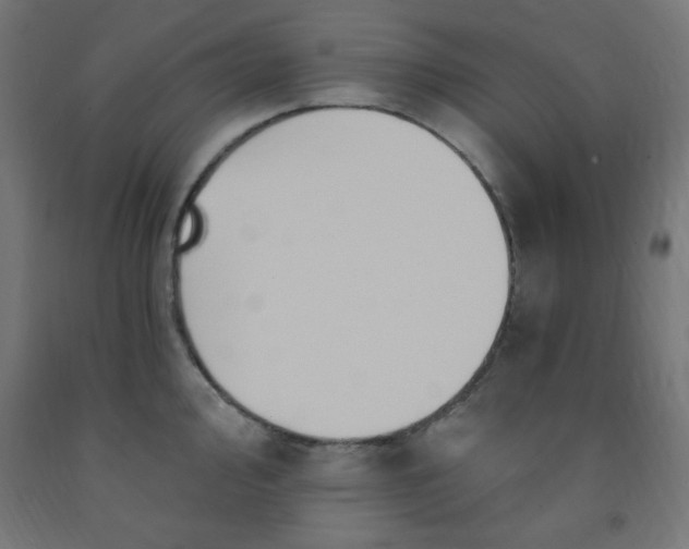 X0000093251000200710031600