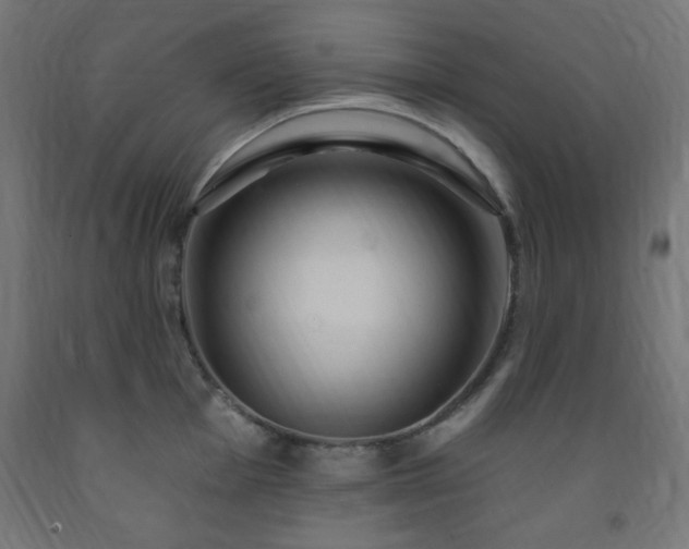 X0000093251001200710031600