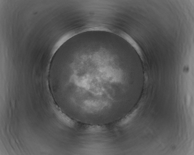 X0000093251002200710031600